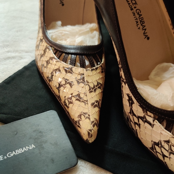 Dolce & Gabbana Snake and Leather Pumps💕 - Picture 2 of 8